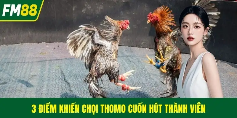 3 điểm khiến chọi Thomo cuốn hút thành viên