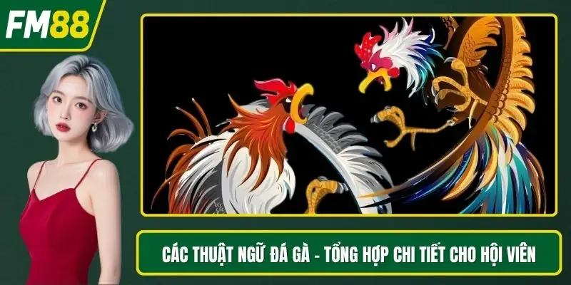 Các thuật ngữ đá gà