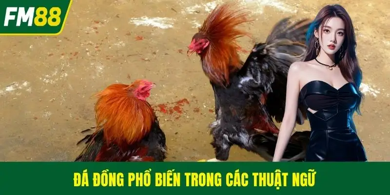 Đá đồng phổ biến trong các thuật ngữ
