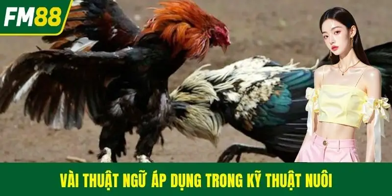 Vài thuật ngữ áp dụng trong kỹ thuật nuôi